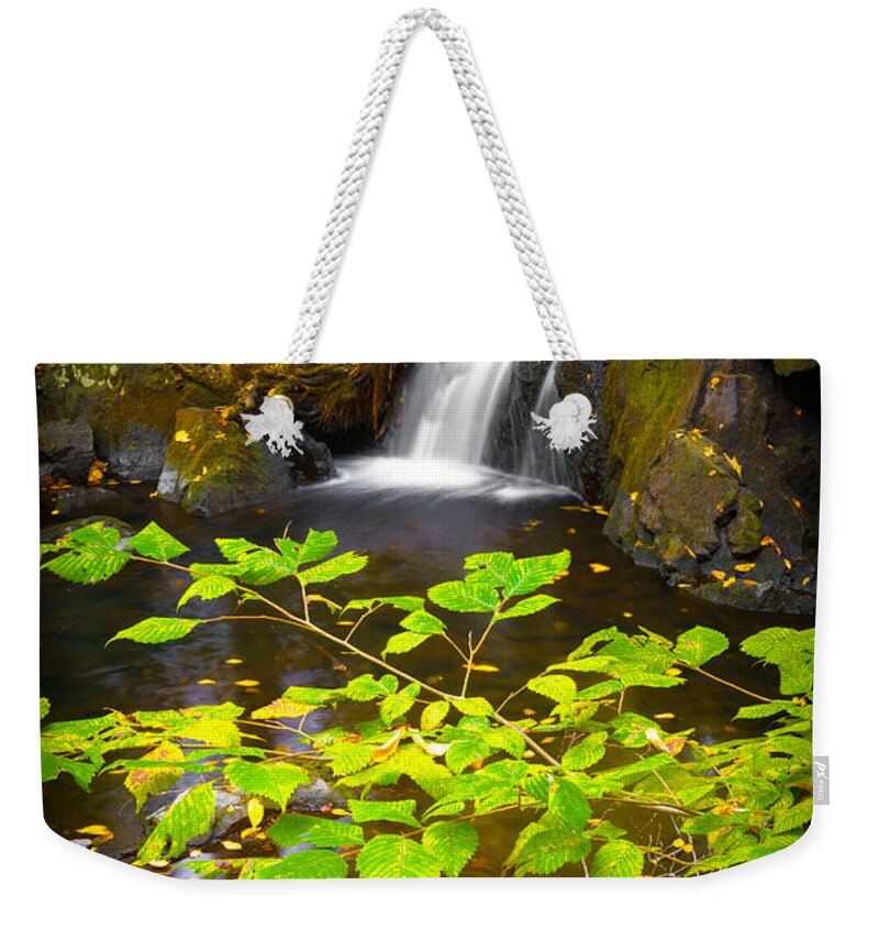 Leaves Weekender Tote Bag featuring the photograph Silent Brook by Mark Rogers