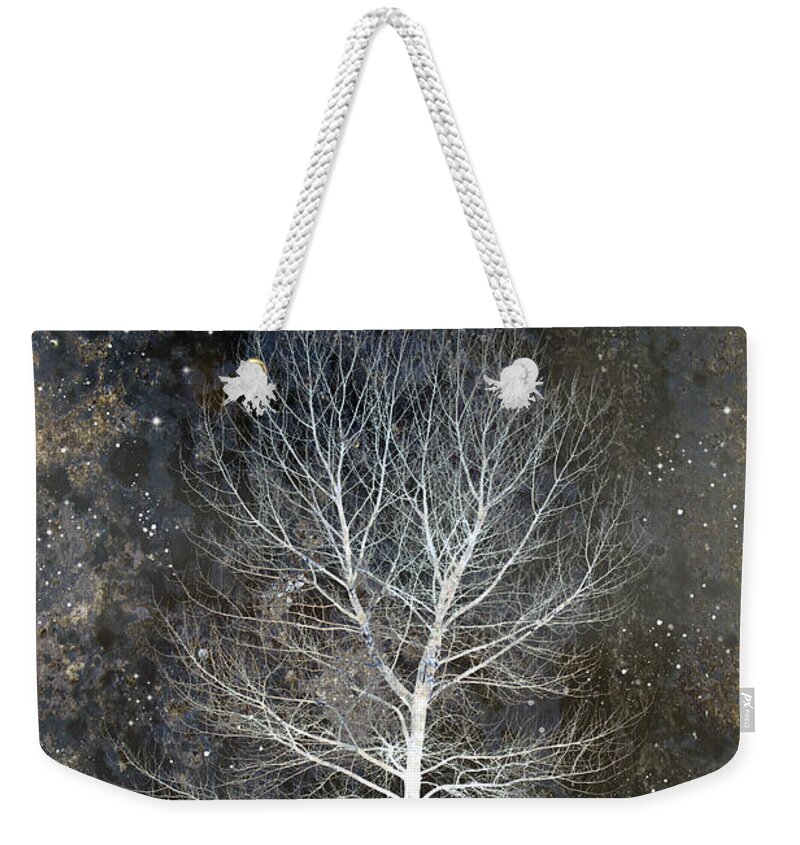 Silent Night Weekender Tote Bag featuring the photograph Silent Night by Carol Leigh