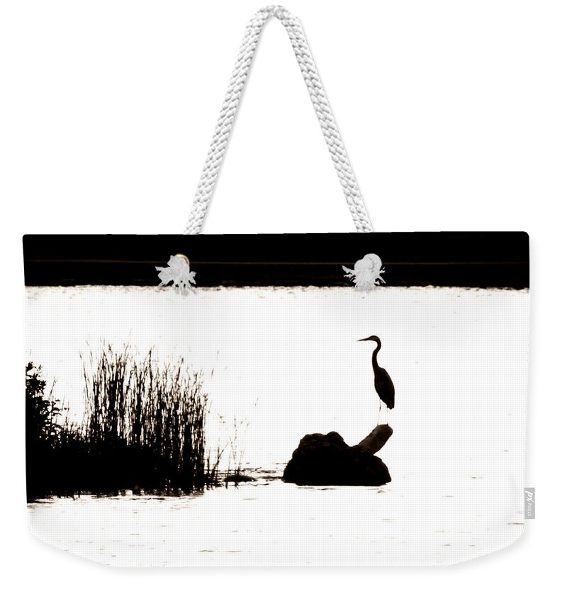 Silhouette Weekender Tote Bag featuring the photograph Silhouette by Zinvolle Art
