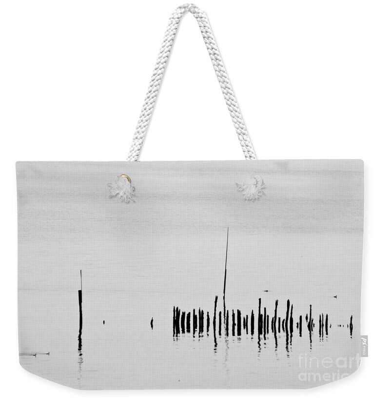 Heiko Weekender Tote Bag featuring the photograph Silver Pond and Poles by Heiko Koehrer-Wagner