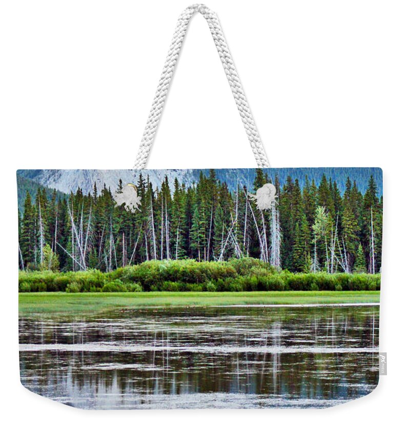 Reflections Weekender Tote Bag featuring the photograph Silver Reflections by Linda Sannuti