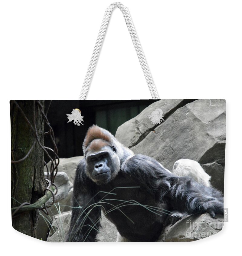 Silverback Weekender Tote Bag featuring the photograph Silverback by Lynellen Nielsen