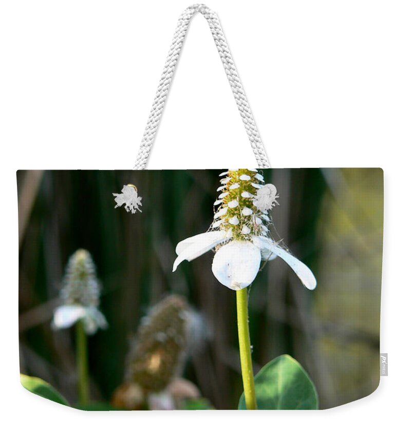 Flower Weekender Tote Bag featuring the photograph Simple Flower by Laurel Powell