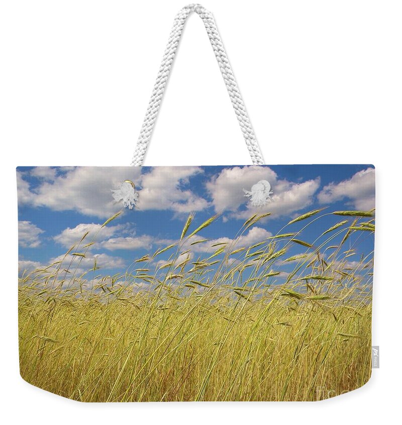 Field Weekender Tote Bag featuring the photograph Simple Moments On The Farm by Matthew Seufer