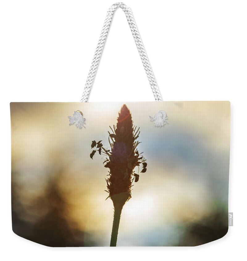 Weed Weekender Tote Bag featuring the photograph Simply Summer by Sennie Pierson