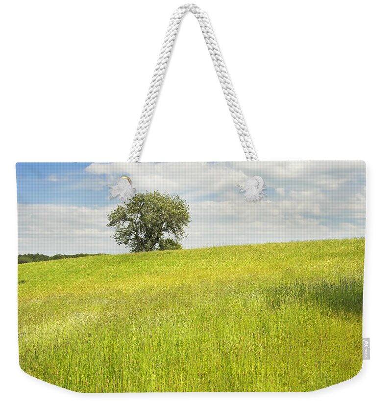Field Weekender Tote Bag featuring the photograph Single Apple Tree In Maine Hay Field by Keith Webber Jr