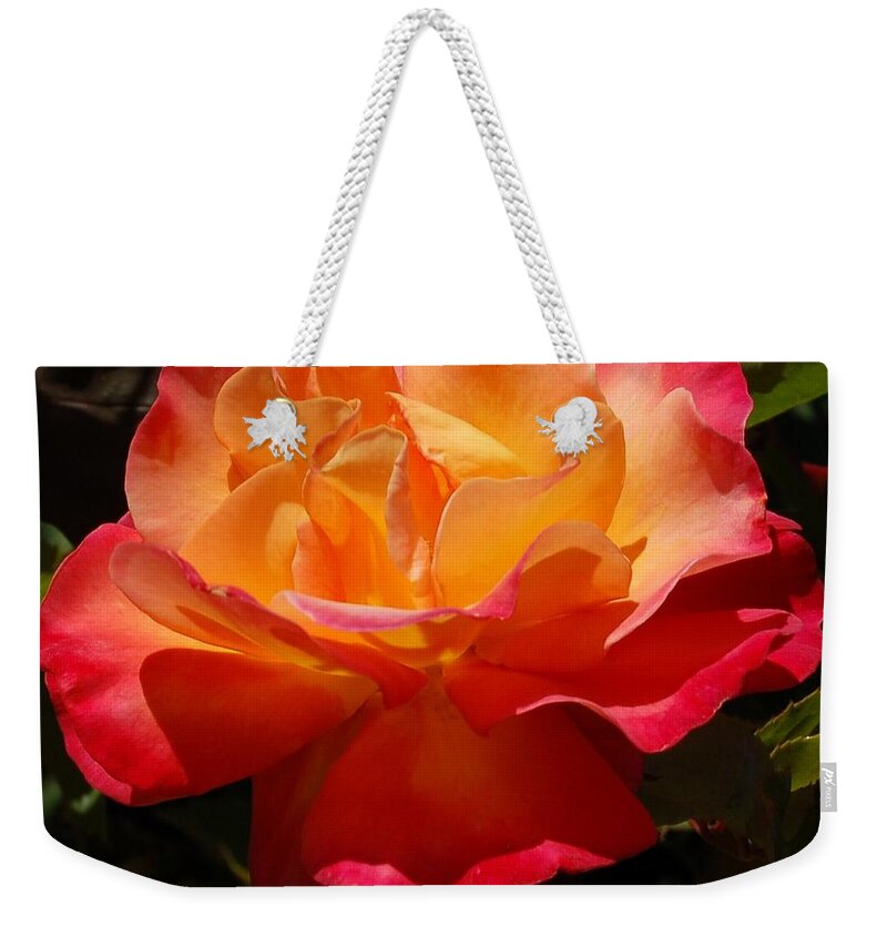 Linda Brody Weekender Tote Bag featuring the photograph Single Red and Orange Rose by Linda Brody