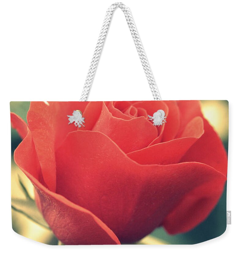 Gift Weekender Tote Bag featuring the photograph Single red Rose by Amanda Mohler