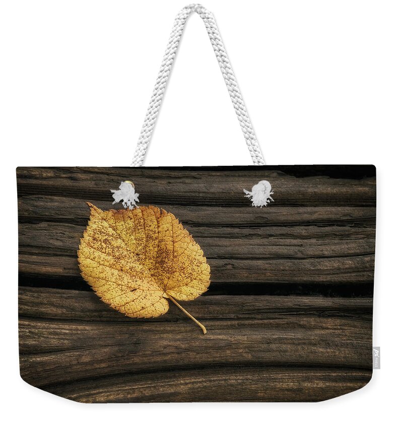Leaf Weekender Tote Bag featuring the photograph Single Yellow Birch Leaf by Scott Norris