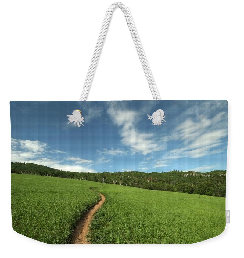 Scenics Weekender Tote Bag featuring the photograph Singletrack Trail Running Thru Meadow by David Epperson