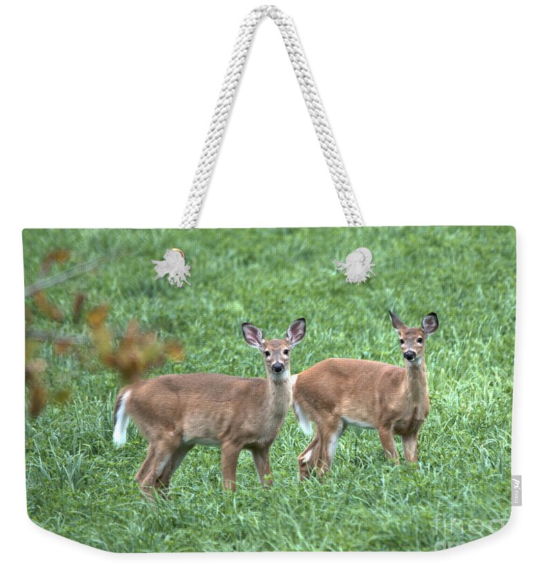  Weekender Tote Bag featuring the photograph Sisters by Cheryl Baxter