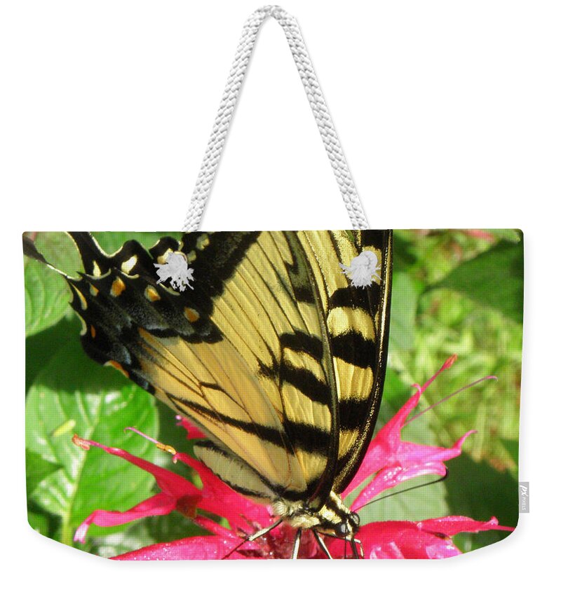 Flower Weekender Tote Bag featuring the photograph Sitting On Dinner by Kim Galluzzo