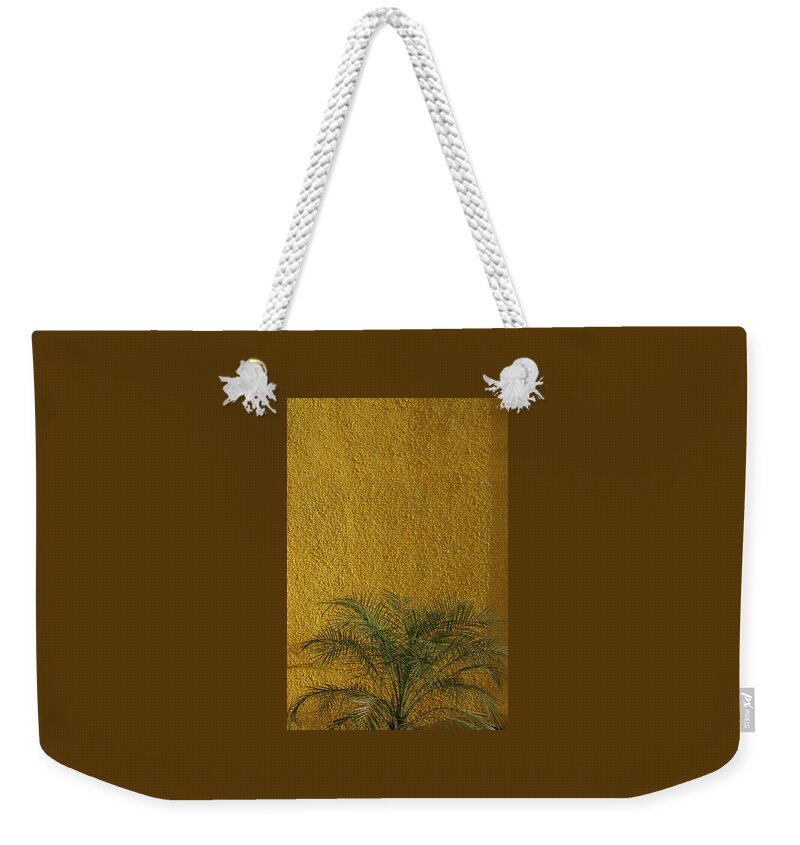 Abstract Weekender Tote Bag featuring the photograph SKC 1243 Colour and Texture by Sunil Kapadia