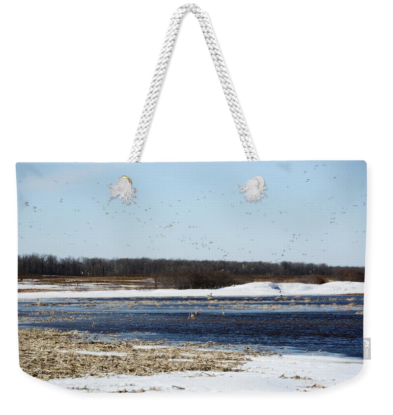 Sky Full Of Ducks Weekender Tote Bag featuring the photograph Sky Full Of Ducks by Tracy Winter