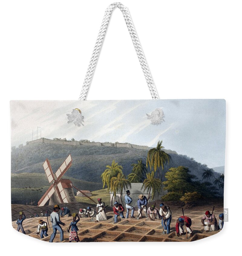 Slave Trade Weekender Tote Bag featuring the photograph Slaves Planting Sugar Cane, 19th Century by British Library