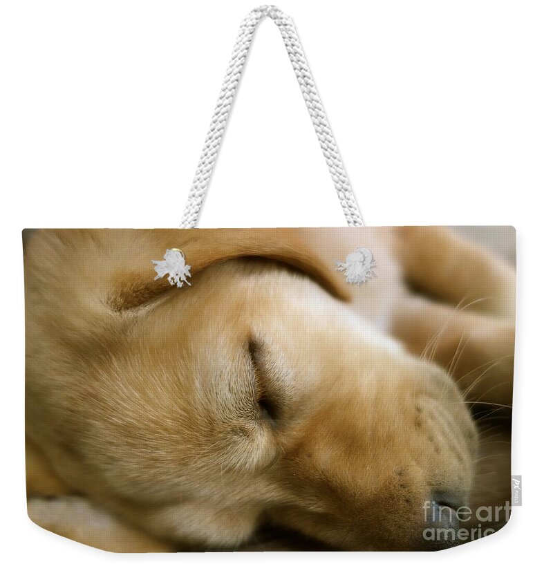 Dog Weekender Tote Bag featuring the photograph Sleeping Beauty by Jacqueline Athmann