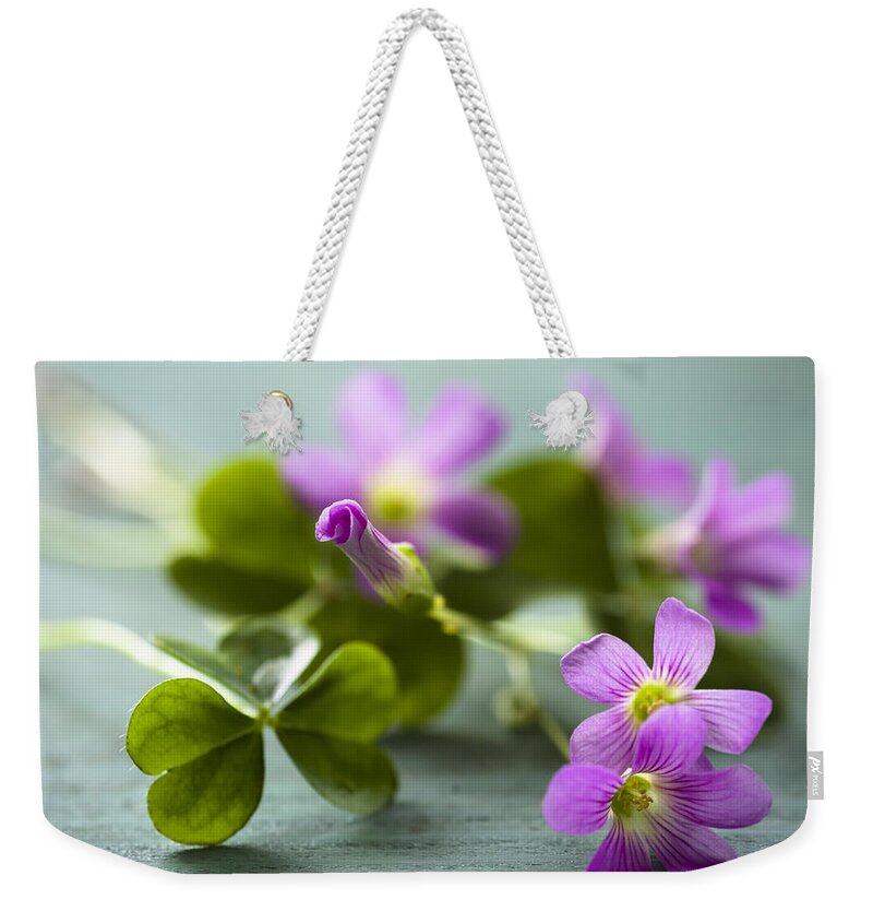 Oxalis Articulata Weekender Tote Bag featuring the photograph Sleeping Beauty Wild Flower by Jan Bickerton