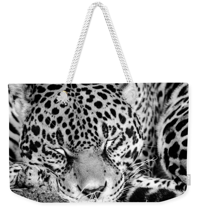 Leopard Weekender Tote Bag featuring the photograph Sleeping by Wild Fotos