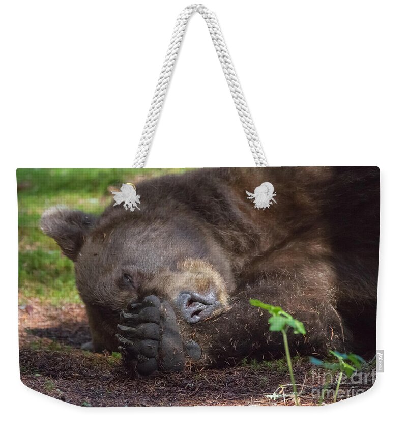 Bear Weekender Tote Bag featuring the photograph Bear Chase Your Dreams by Chris Scroggins