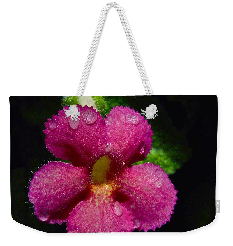 Pink Flower Weekender Tote Bag featuring the photograph Small Beauty by Jocelyn Kahawai