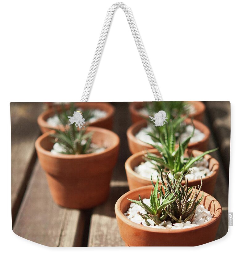 Tranquility Weekender Tote Bag featuring the photograph Small Succulents In Terracotta Pots by Stacey Macqueen