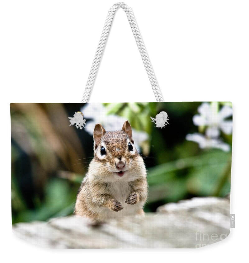 Chipmunk Weekender Tote Bag featuring the photograph Smiling Chipmunk by Cheryl Baxter