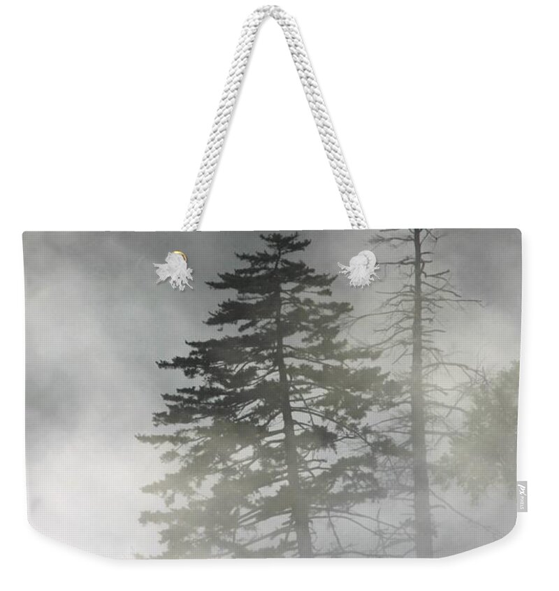 Art Prints Weekender Tote Bag featuring the photograph Smoky Mountain Mist by Nunweiler Photography