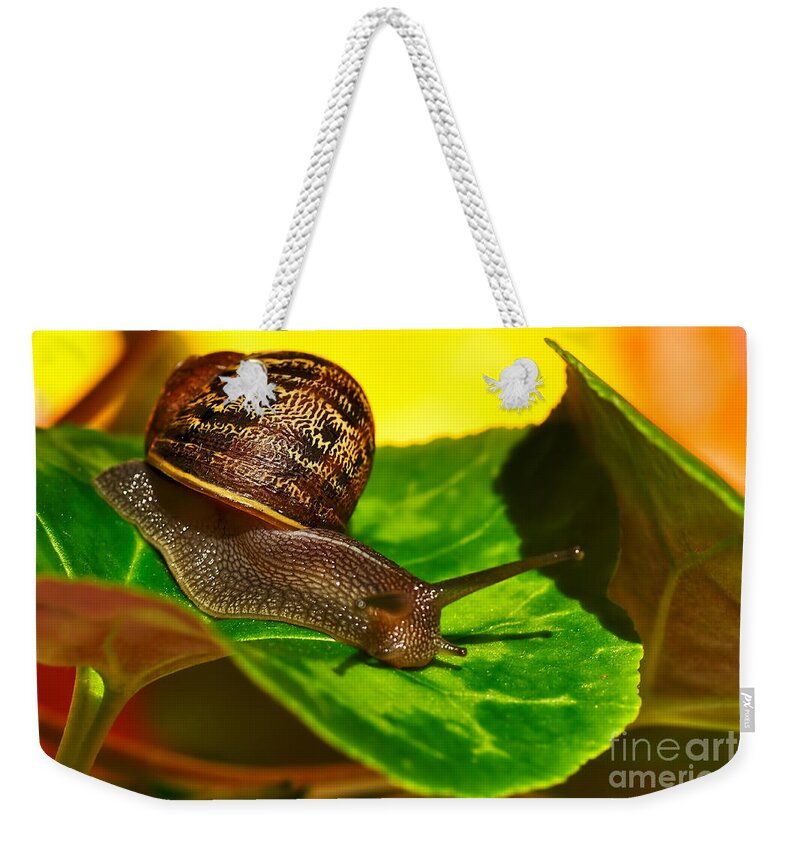 Photography Weekender Tote Bag featuring the photograph Snail in Colorful Habitat by Kaye Menner