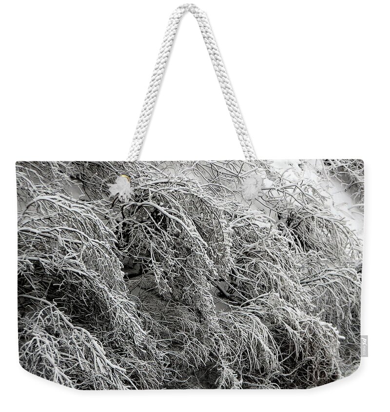 Ice Covered Trees Weekender Tote Bag featuring the photograph Snow and Ice covered trees at the base of Niagara Falls by Rose Santuci-Sofranko