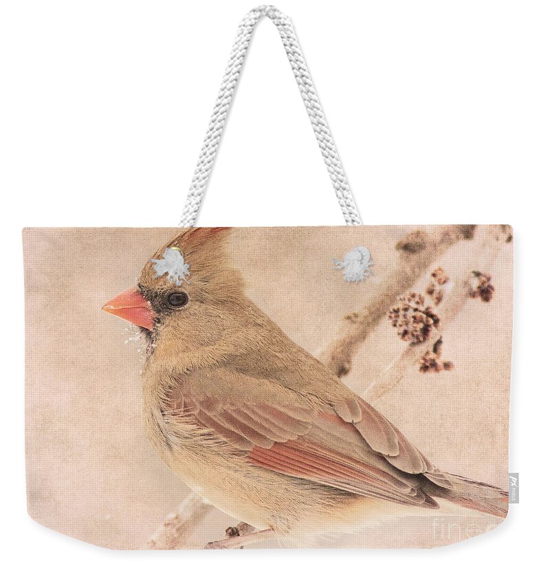 Bird Weekender Tote Bag featuring the photograph Snow Bearded Lady by Pam Holdsworth