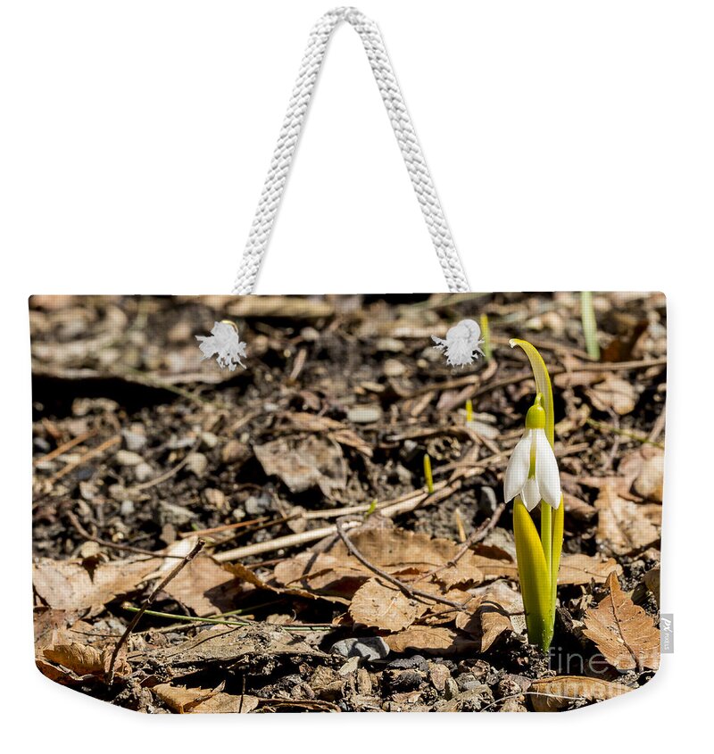 Snowbell Weekender Tote Bag featuring the photograph Snow Bell Spring Has Sprung by Brad Marzolf Photography