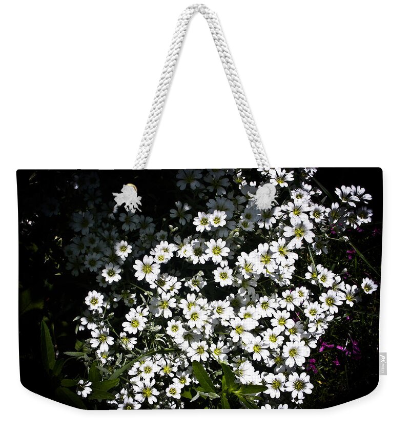 White Flowers Photographs Weekender Tote Bag featuring the photograph Snow in Summer by Joann Copeland-Paul