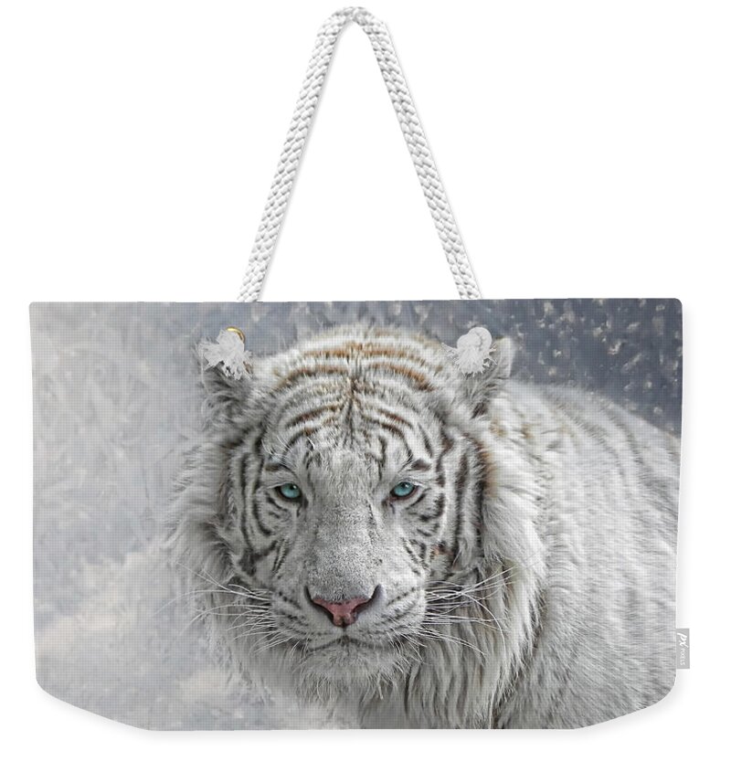 Cat Weekender Tote Bag featuring the photograph Snow White by Joachim G Pinkawa