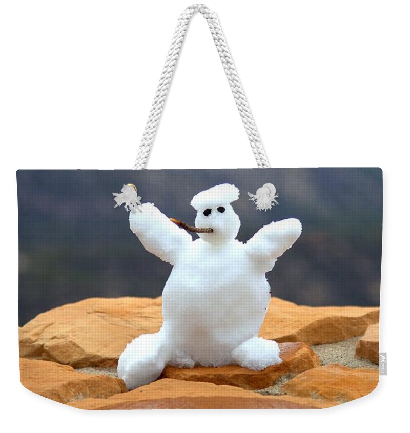 1101 Weekender Tote Bag featuring the photograph Snowball Snowman by Gordon Elwell