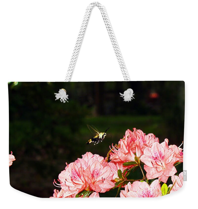 Fine Art Photography Weekender Tote Bag featuring the photograph Snowberry Clearwing I by Patricia Griffin Brett