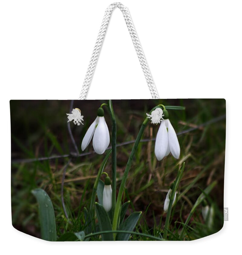 Nature Weekender Tote Bag featuring the photograph Snowdrops by Spikey Mouse Photography