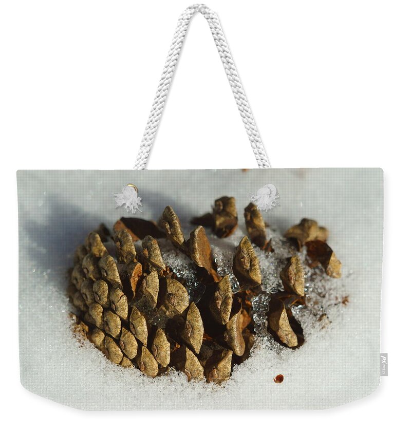 Brown Weekender Tote Bag featuring the photograph Snowed in by Dimitry Papkov