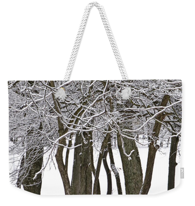 Snow Weekender Tote Bag featuring the photograph Snowfall at Garfield Park with Yellow Park Bench No. 1069 by Randall Nyhof