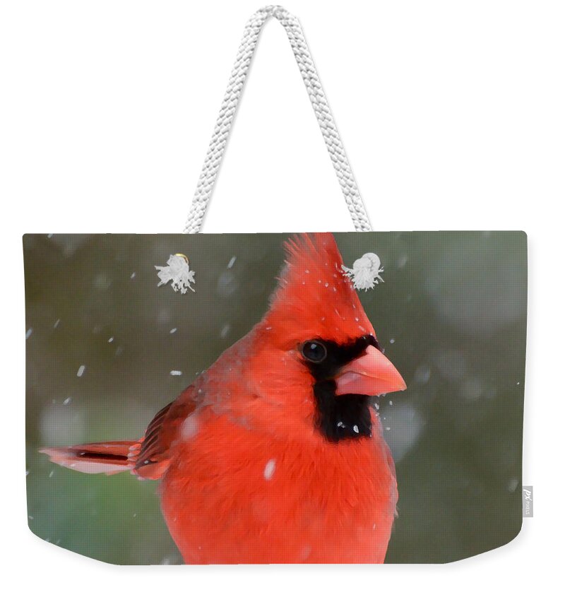 Snowflake Cardinal Weekender Tote Bag featuring the photograph Snowflake Cardinal by Kerri Farley