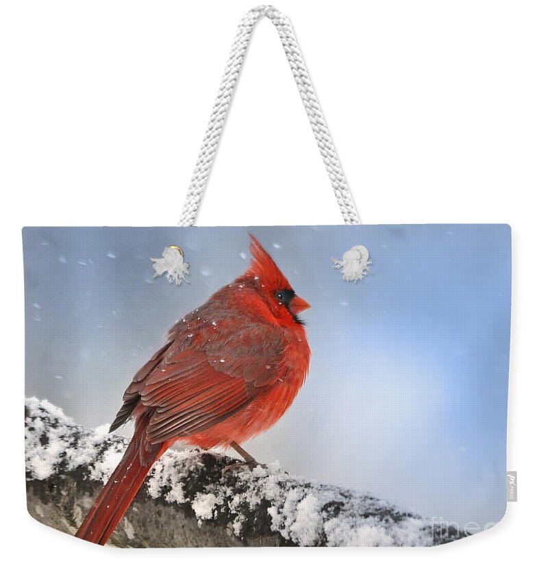 (1st Place Contest Winner In 'favorite Snow Scenes)    Nava Thompson Weekender Tote Bag featuring the photograph Snowing on Red Cardinal by Nava Thompson