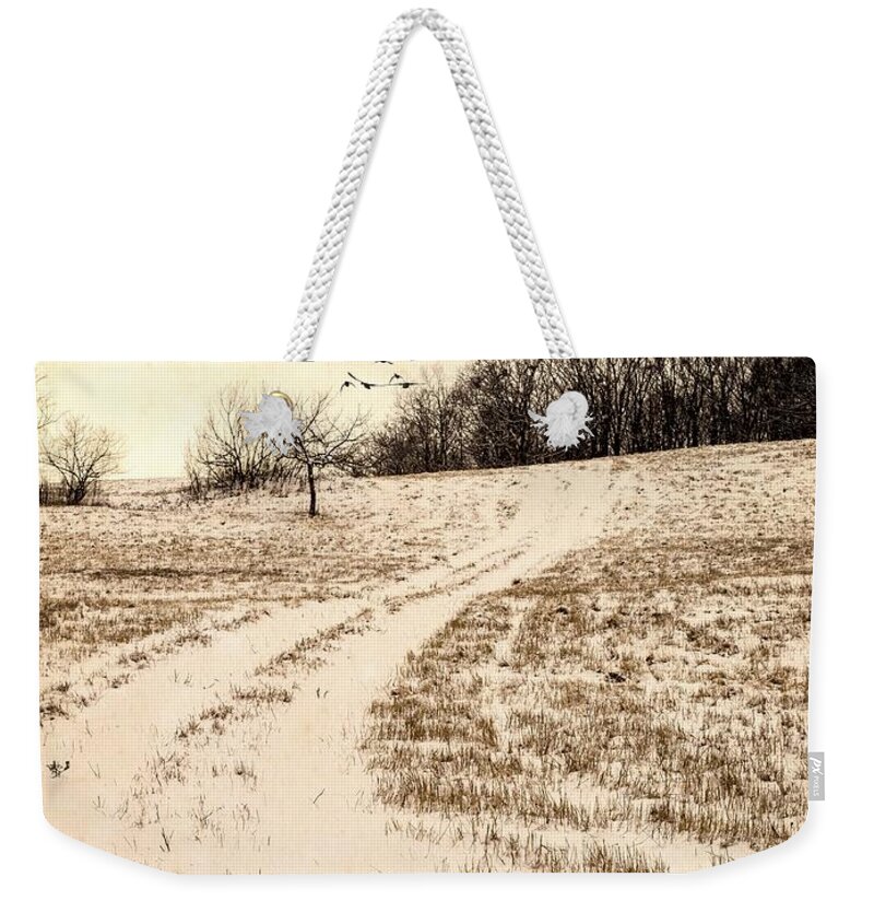 Birds Weekender Tote Bag featuring the photograph Snowy Country Road by Edward Fielding