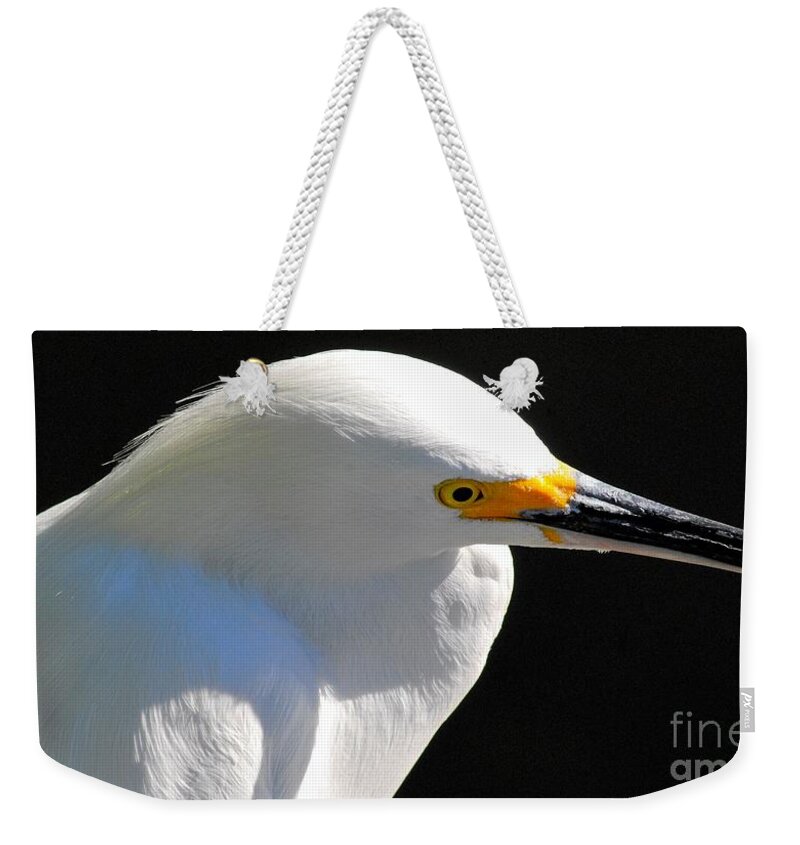Egret Weekender Tote Bag featuring the photograph Snowy Egret by Quinn Sedam
