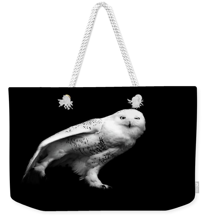 Animal Themes Weekender Tote Bag featuring the photograph Snowy Owl by Malcolm Macgregor