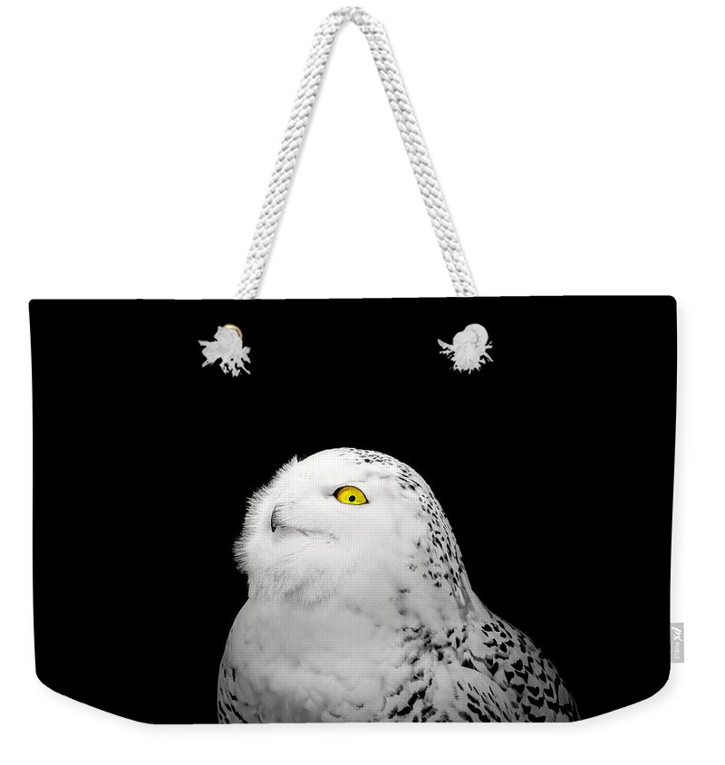 Animal Weekender Tote Bag featuring the photograph Snowy Owl by Peter Lakomy