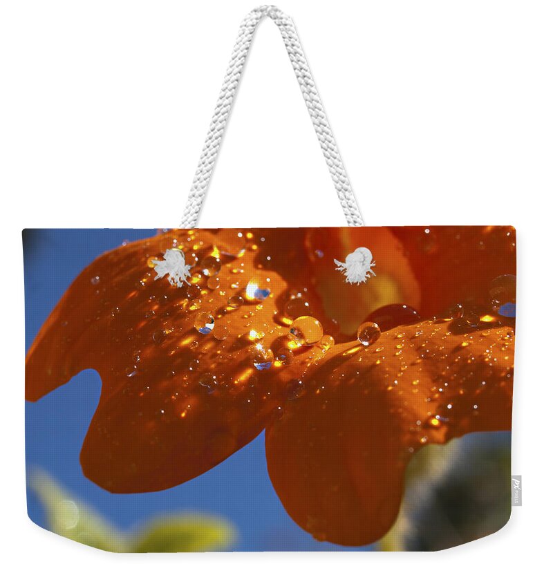 Clockvine Weekender Tote Bag featuring the photograph So What Rhymes with Orange Anyway by Joe Schofield
