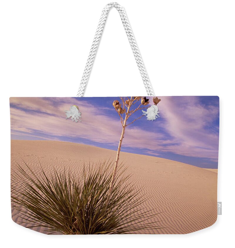 00341457 Weekender Tote Bag featuring the photograph Soaptree Yucca On Dune by Yva Momatiuk and John Eastcott