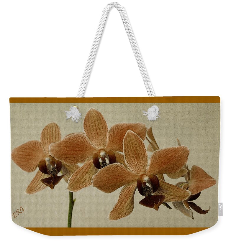 Orchid Weekender Tote Bag featuring the photograph Sofia Orchid by Ben and Raisa Gertsberg