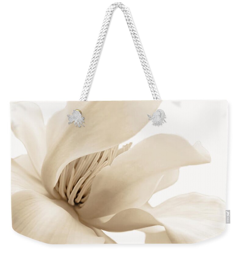 Magnolia Weekender Tote Bag featuring the photograph Soft Brown Magnolia Flower Blossom by Jennie Marie Schell