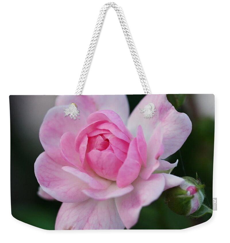 Rosebud Weekender Tote Bag featuring the photograph Soft Pink Miniature Rose by Rona Black