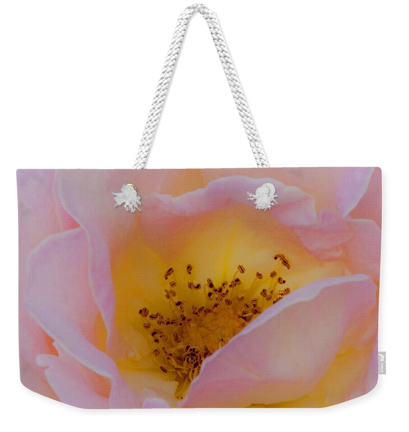 Shabby Chic Weekender Tote Bag featuring the photograph Softly Rose by Theresa Tahara